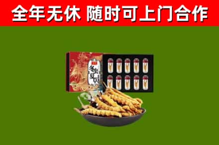 沙湾回收冬虫夏草价格